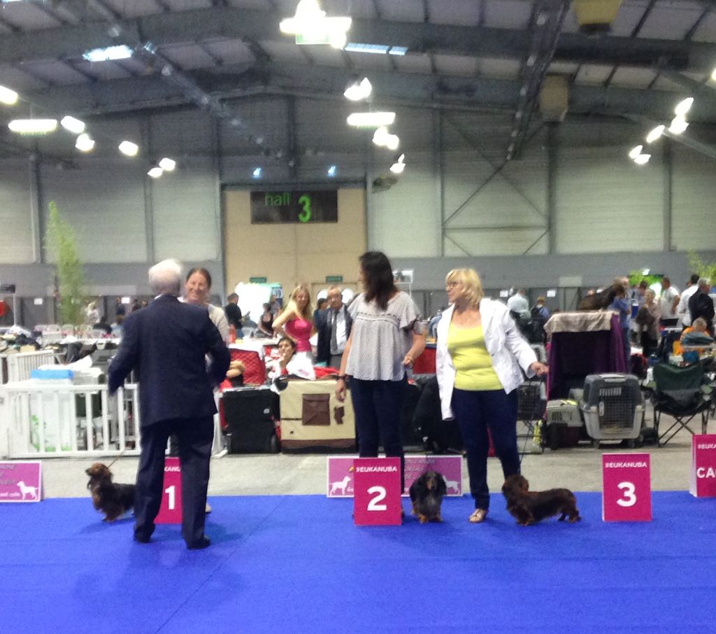 Valentino von weinreich - 2ème Excellent classe ouverte