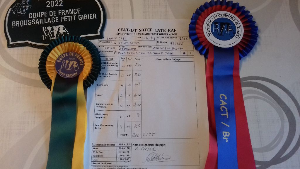 CH. R'mine Du Bois Joli De Saint Jean - CACT Broussaillage 200 pts