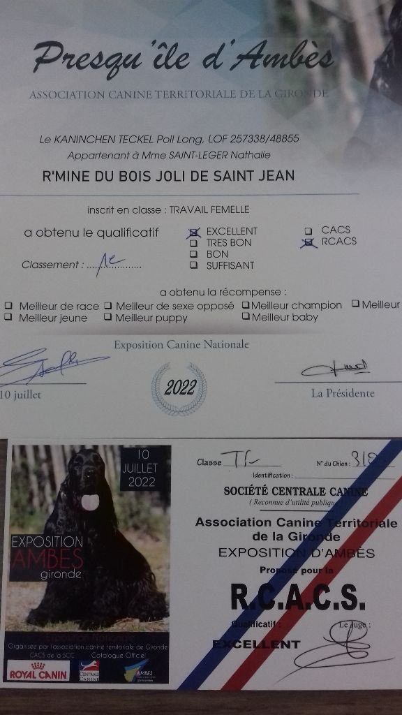 CH. R'mine Du Bois Joli De Saint Jean - 1er Exc en classe Travail, RCACS