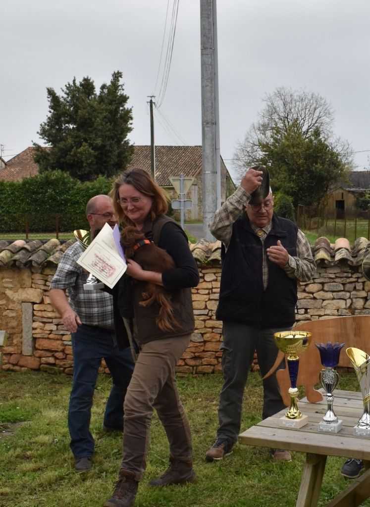 CH. R'mine Du Bois Joli De Saint Jean - 2ème Prix 78 points