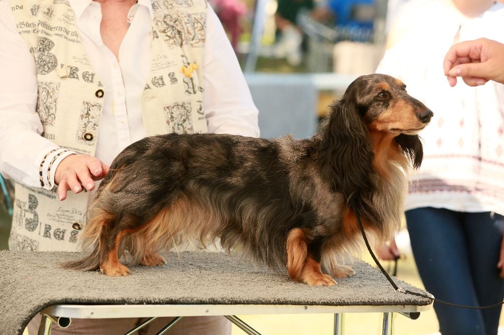 Valentino von weinreich - 1er Exc en classe Travail, RCACS