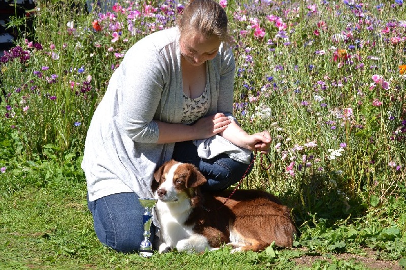 Publication : De l'Univers d'Evine Auteur : Margot Guillet