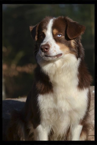 Publication : De l'Univers d'Evine Auteur : Margot Guillet