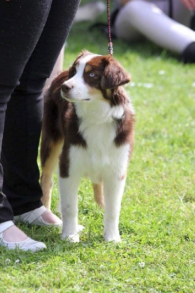 Publication : De l'Univers d'Evine Auteur : Margot Guillet