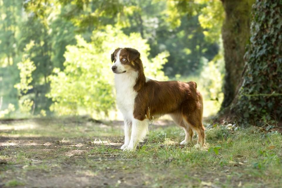 Publication : De l'Univers d'Evine Auteur : Margot Guillet