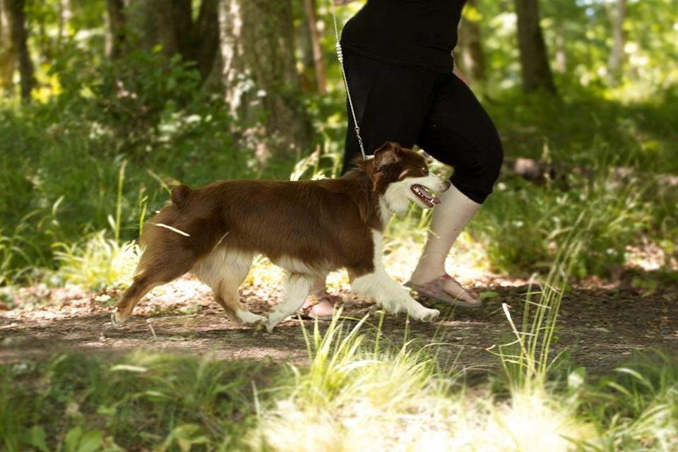 Publication : De l'Univers d'Evine Auteur : Margot Guillet