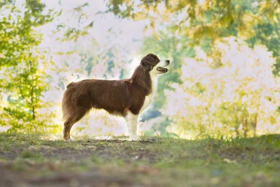 Publication : De l'Univers d'Evine Auteur : Margot Guillet