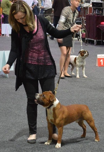 blazen staff's No comment - Très bon non classé (classe Jeune)