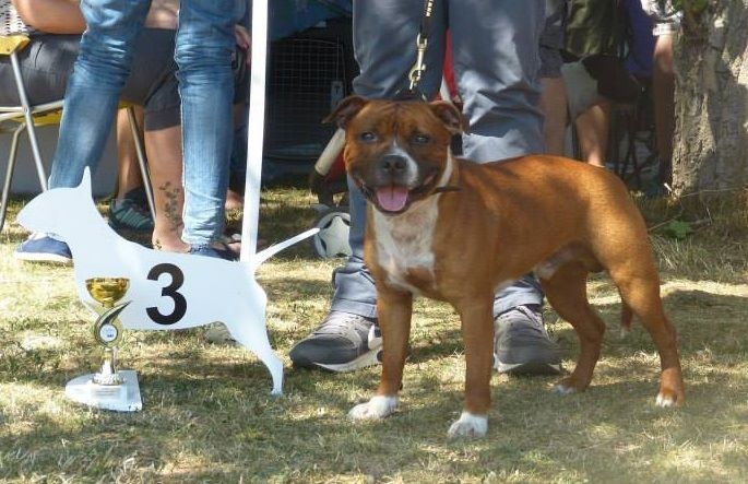 blazen staff's No comment - 3ème Excellent (classe Ouverte)