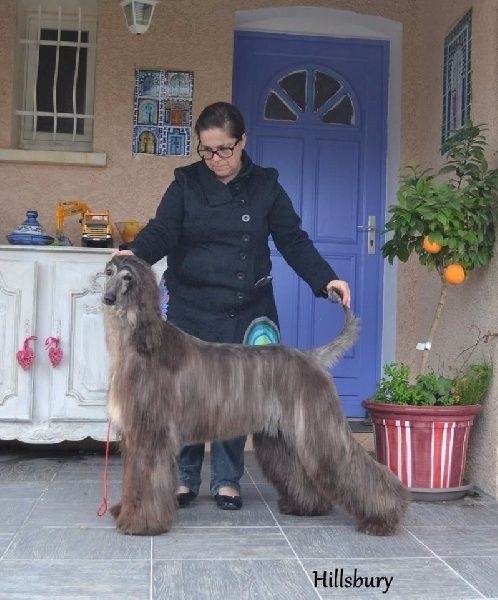 Publication : de sikandar