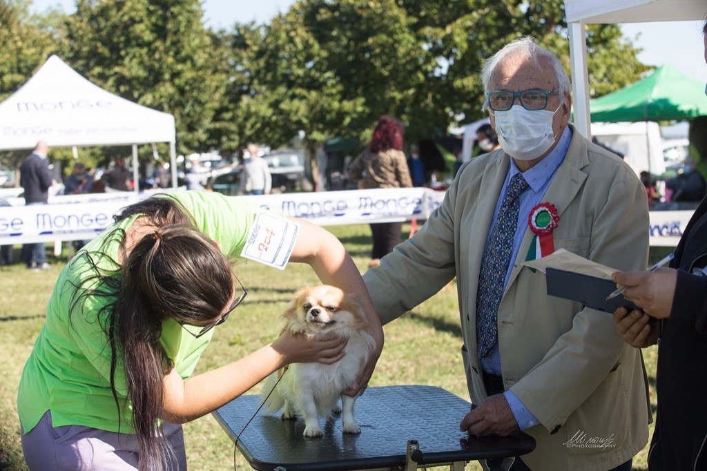 Elf buddy christmas-pl Dei Bordigotti - 2° EXC.