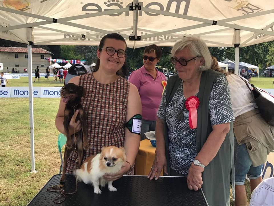 Elf buddy christmas-pl Dei Bordigotti - 1° V.P. et BEST JUNIORES