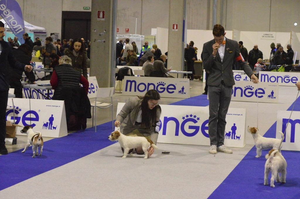 Violetta perla preziosa Dei Bordigotti - V.G.