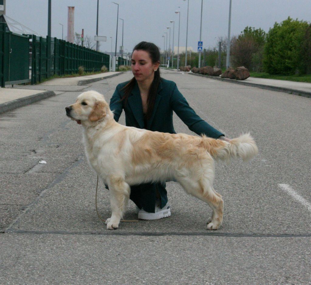 U2 the name o f love De Windy'stia