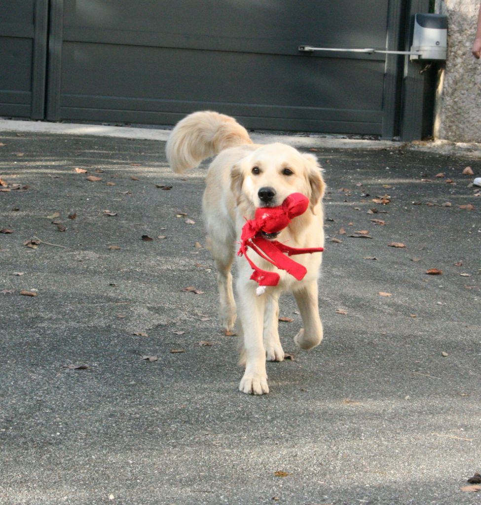 U2 mysterious way De Windy'stia