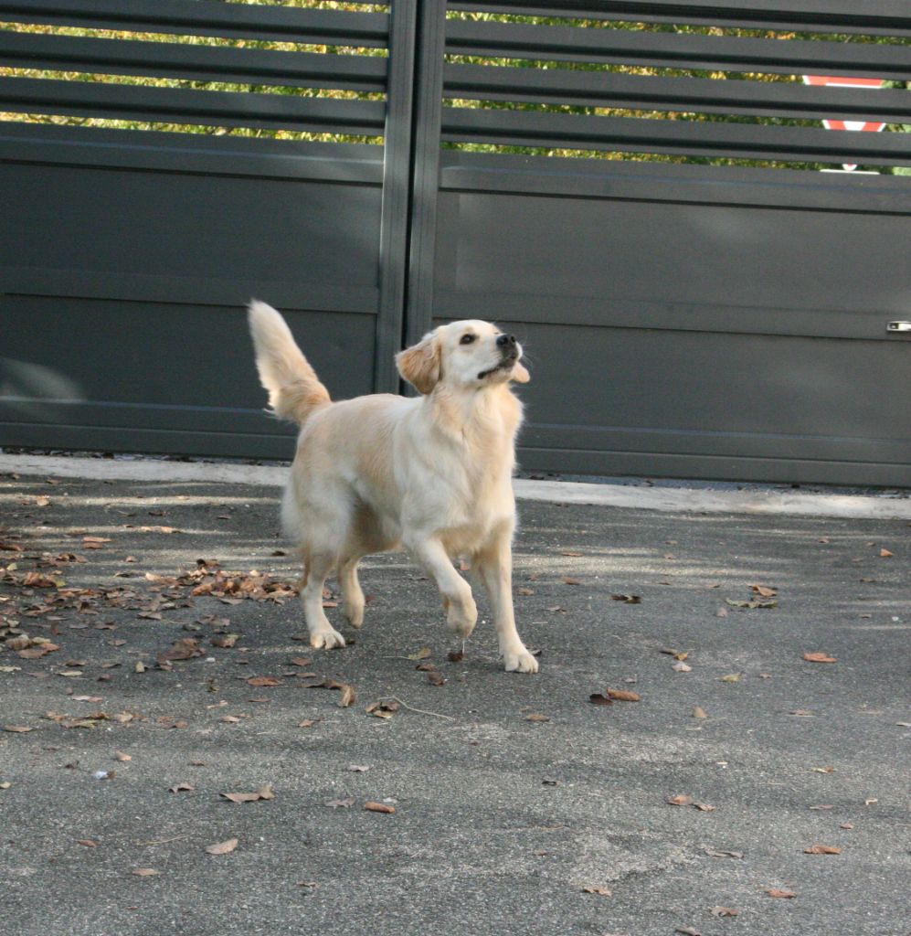 U2 mysterious way De Windy'stia