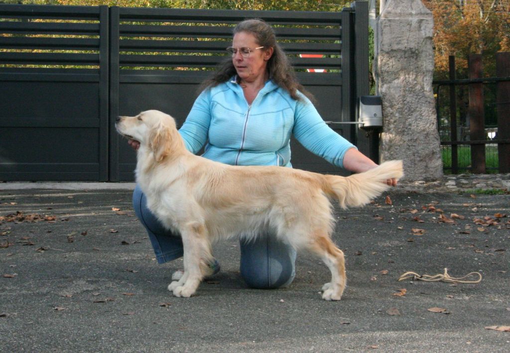 U2 mysterious way De Windy'stia