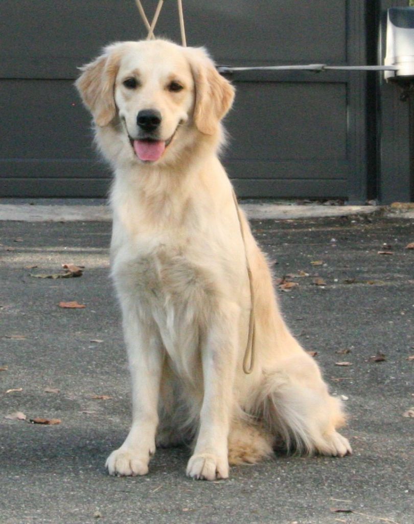 U2 mysterious way De Windy'stia