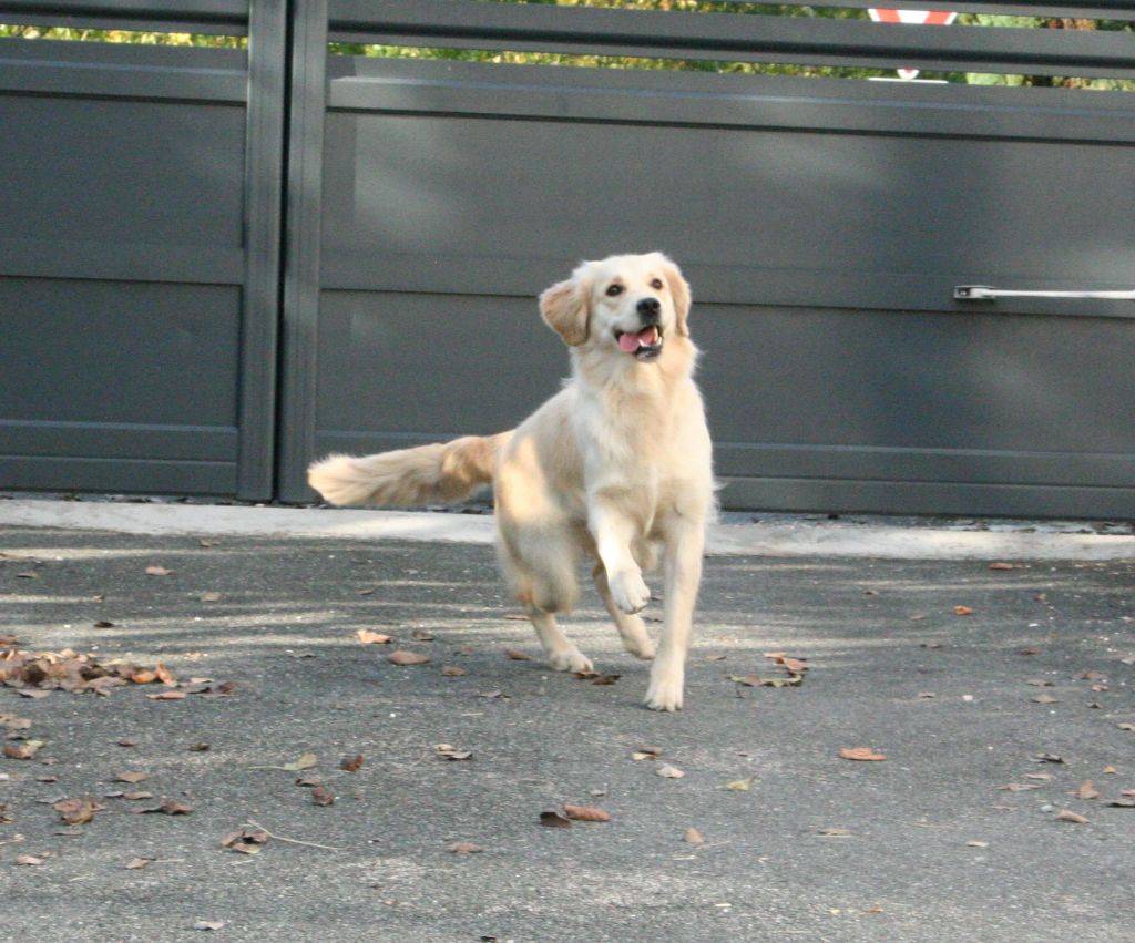 U2 mysterious way De Windy'stia