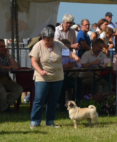 Houlaoop (Sans Affixe) - 1er excellent classe jeune