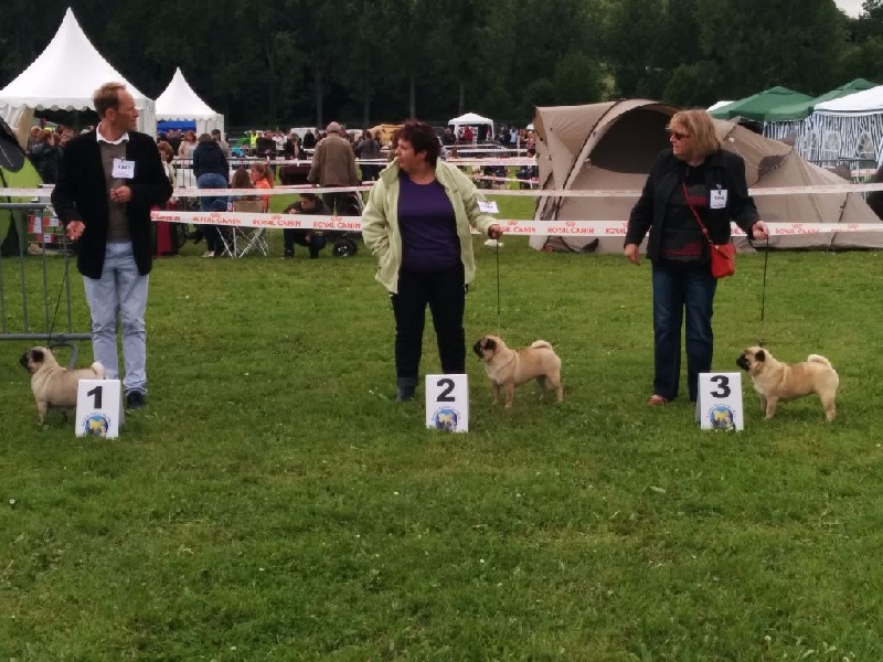 Houlaoop (Sans Affixe) - RCACS classe ouverte