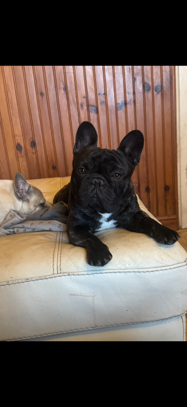 Viktor De La Vallée Du Cagire