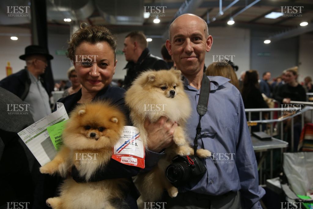 Mirco beautiful De La Fortune De Magie - CACS