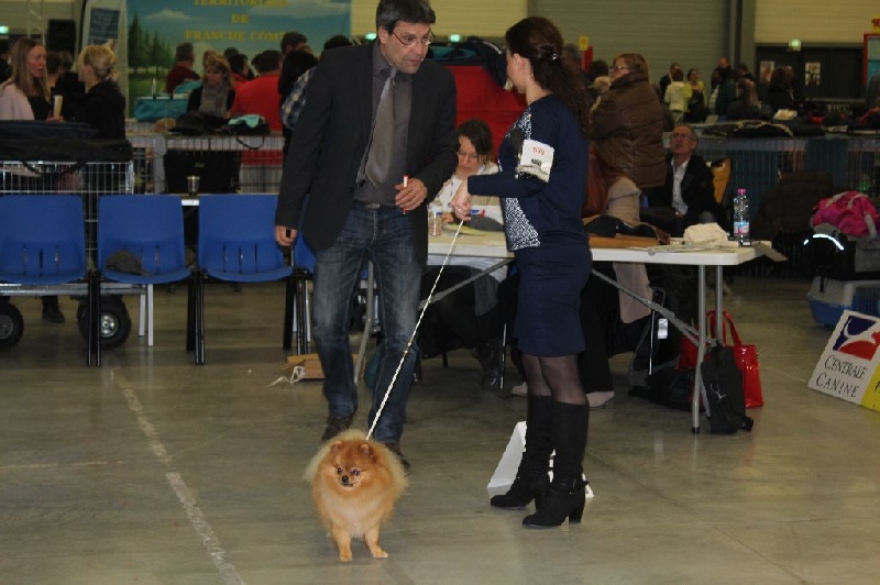 Medovyi pryanik iz imperii vytnovyh - meilleur jeune