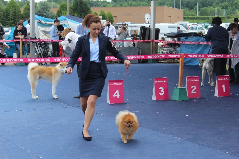 Medovyi pryanik iz imperii vytnovyh - Ex 2