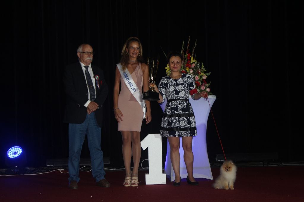 Mirco beautiful De La Fortune De Magie - Meilleur jeune du Salon