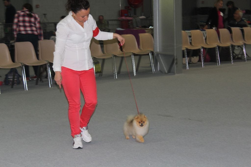 Mirco beautiful De La Fortune De Magie - meilleur jeune