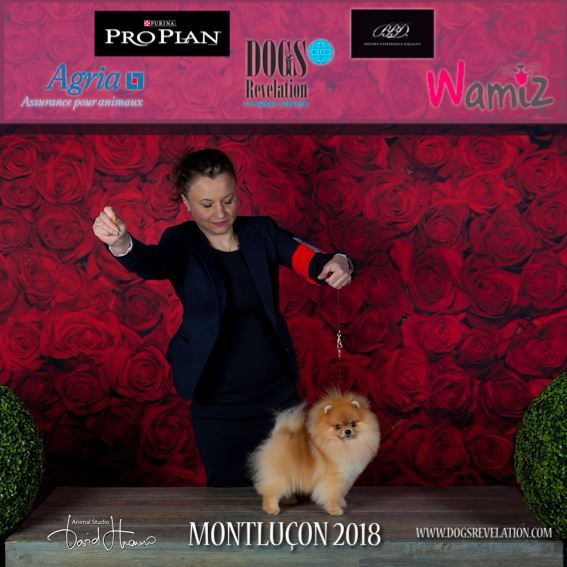 Mirco beautiful De La Fortune De Magie - 2 ème excelent