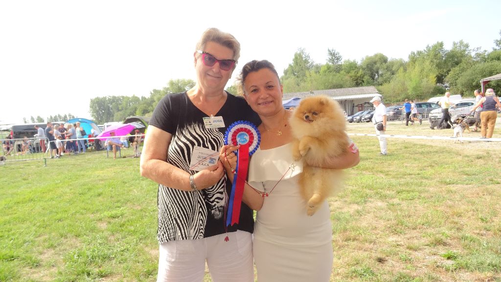 Mirco beautiful De La Fortune De Magie - CACS, Meilleur de Race