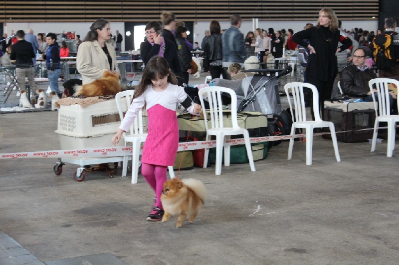 Medovyi pryanik iz imperii vytnovyh - Ex 2