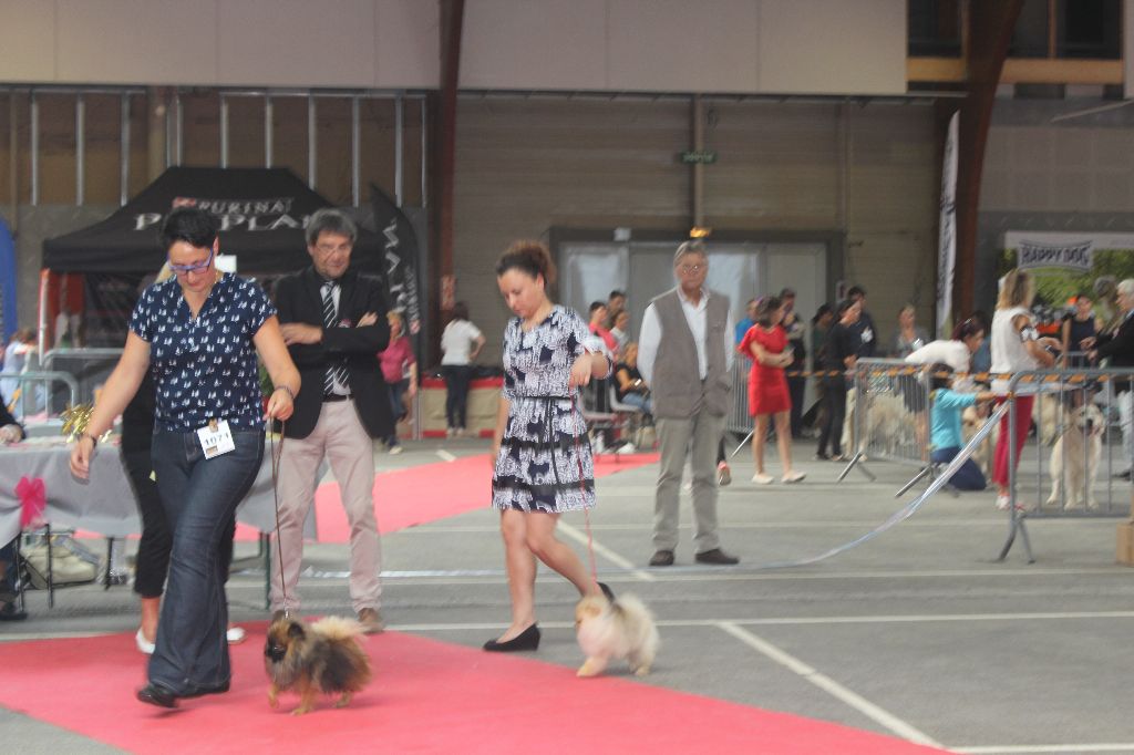 Mirco beautiful De La Fortune De Magie - Meilleur jeune