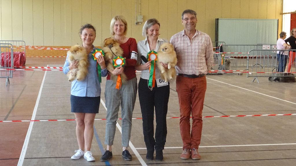 Mirco beautiful De La Fortune De Magie - 1er Intermediaire Male