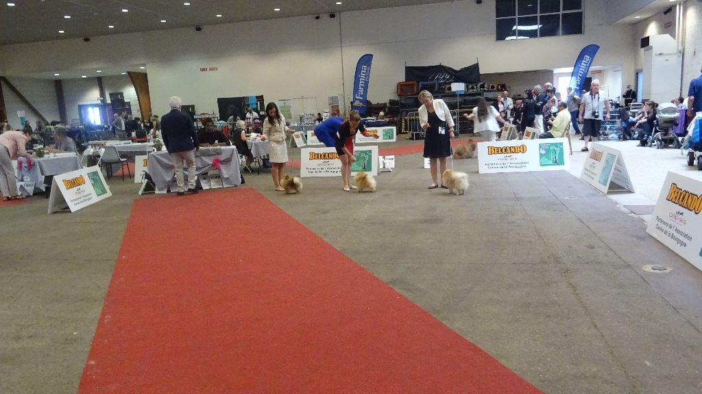 Mirco beautiful De La Fortune De Magie - 3 eme Excellent