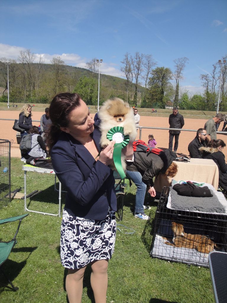 Mirco beautiful De La Fortune De Magie - Meilleur baby