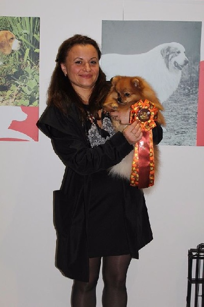 Medovyi pryanik iz imperii vytnovyh - Ex 1