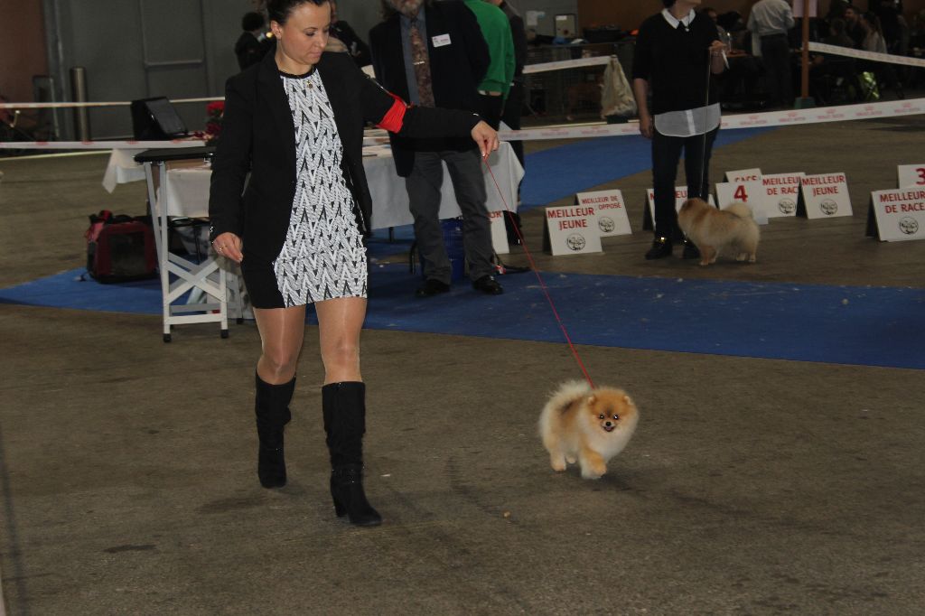 Mirco beautiful De La Fortune De Magie - 1 er exellent