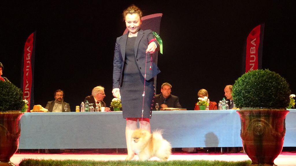 Mirco beautiful De La Fortune De Magie - CACIB/CACS Meilleur de race