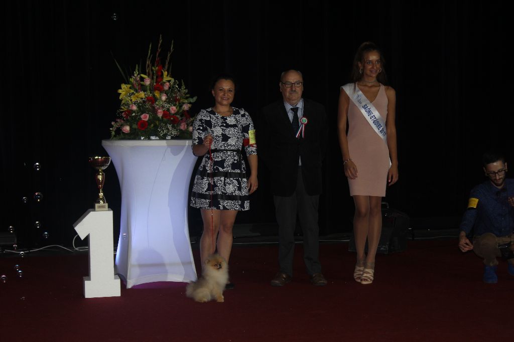 Mirco beautiful De La Fortune De Magie - Meilleur Jeune du Groupe 5