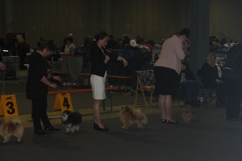 Medovyi pryanik iz imperii vytnovyh - excellent