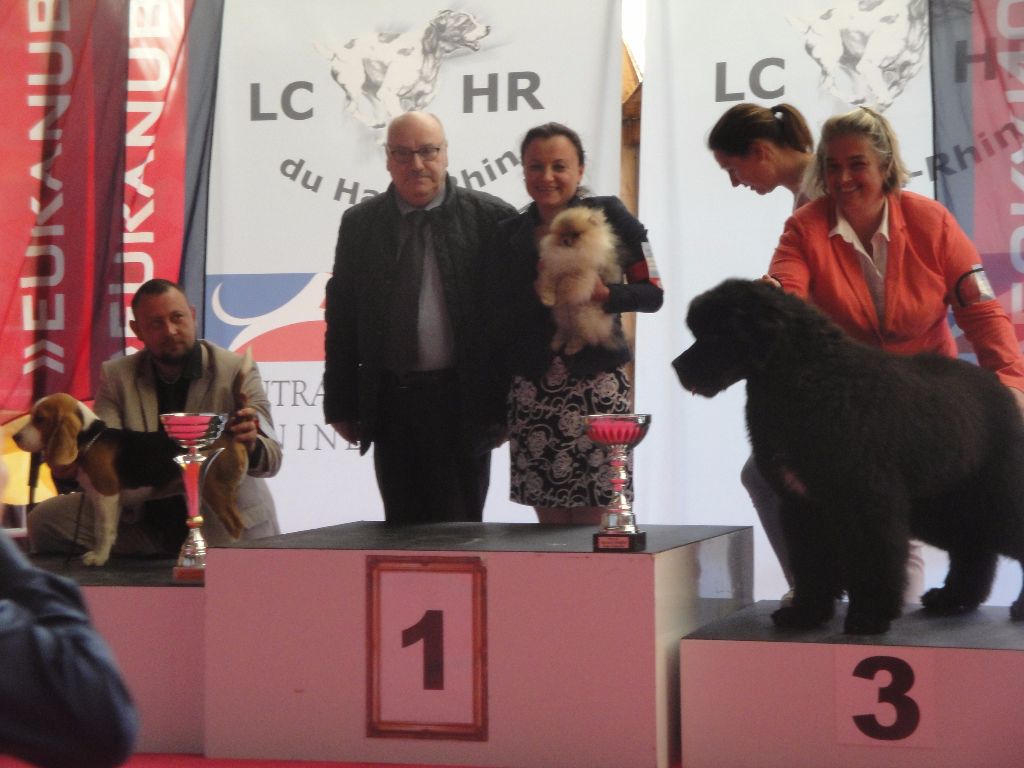 Mirco beautiful De La Fortune De Magie - Meilleur Baby du salon