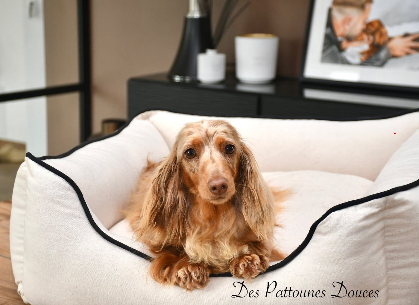 Publication : Des Pattounes Douces