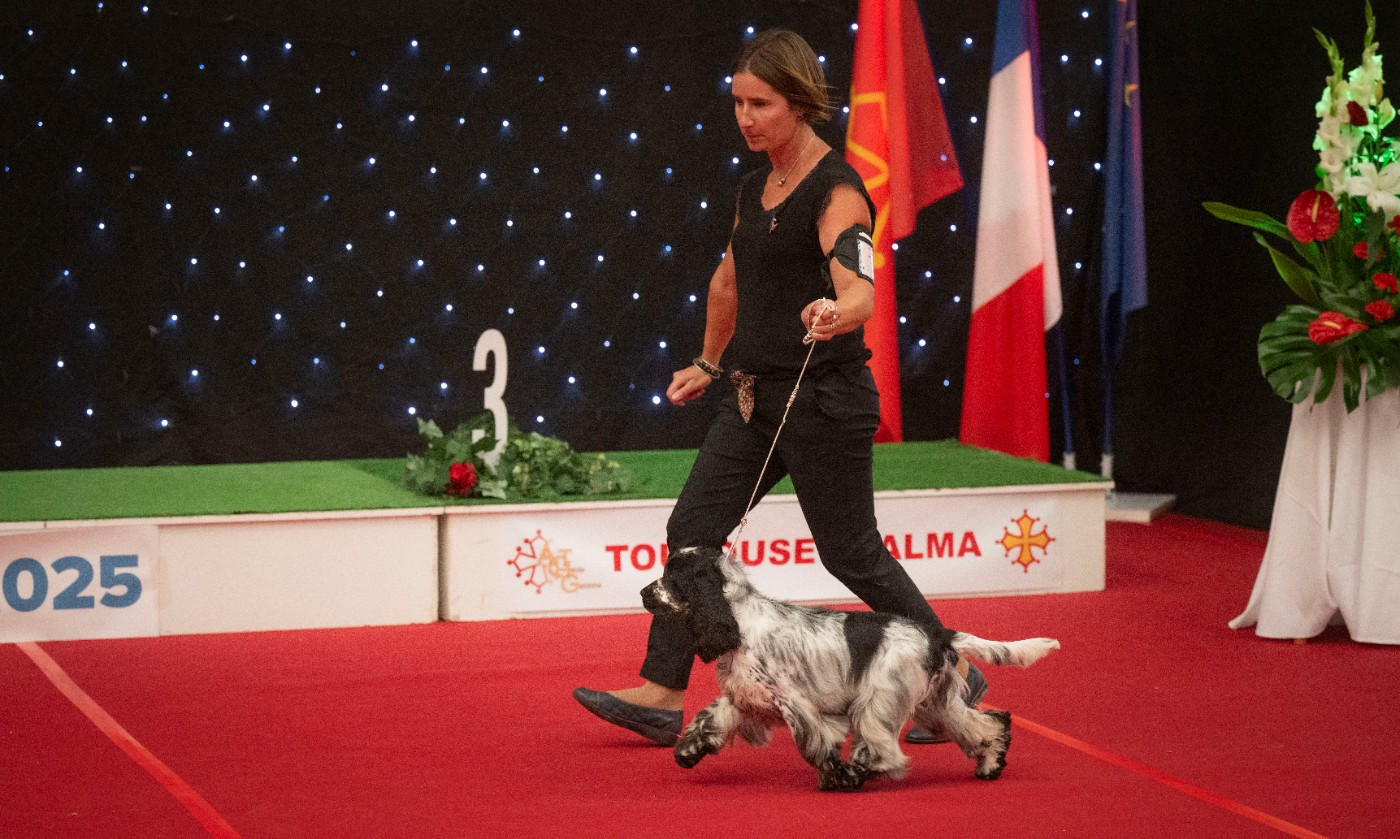 Venezia De La Lembaz