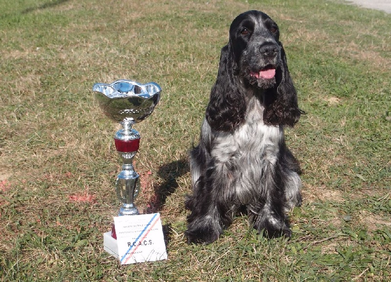 Féria (Sans Affixe) - 2ème excellente en classe ouverte + RCACS