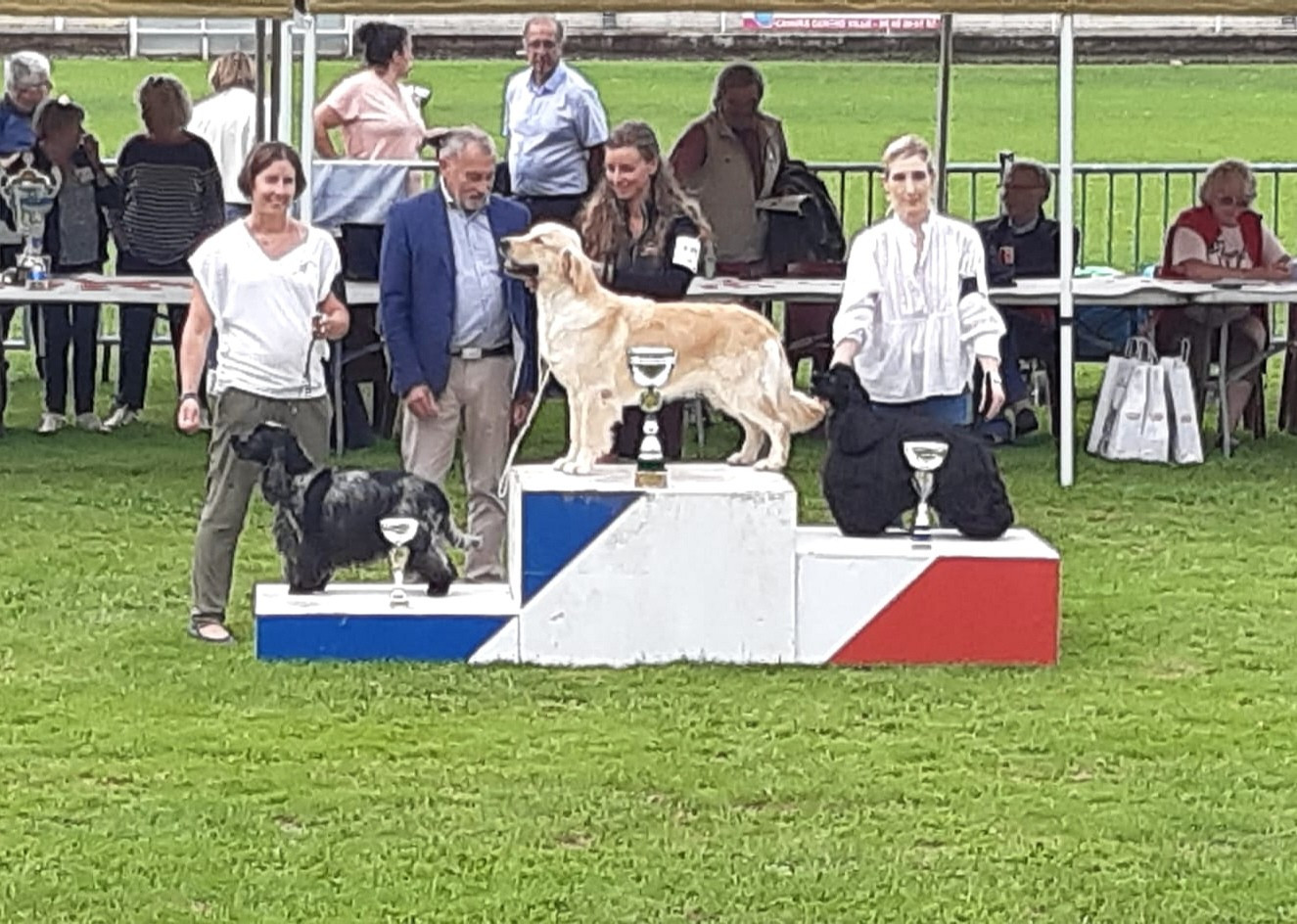 Ora'leï De La Lembaz - 1ère excellente en classe ouverte + CACS + Meilleur de race + BOG3