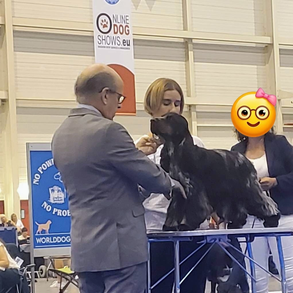 Scandal De La Lembaz - very good open class