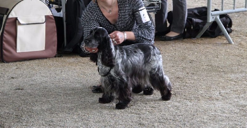 Féria (Sans Affixe) - 1ère excellente en classe ouverte + RCACS